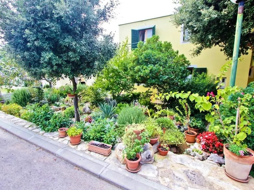 Apartments Irena Petrcane